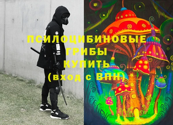 apvp Вязники