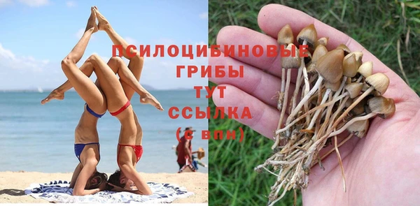 а пвп мука Вязьма