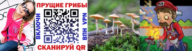 Псилоцибиновые грибы GOLDEN TEACHER  Купить  Дзержинский 