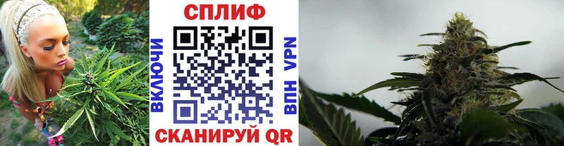 Конопля ГИДРОПОН Дзержинский