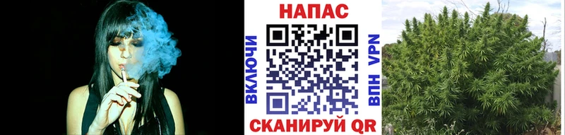 Бошки Шишки Amnesia  Купить закладки  Дзержинский 